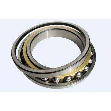 1221X Original famous brands Bower Cylindrical Roller Bearings