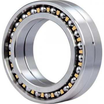 1007 Original famous brands Bower Cylindrical Roller Bearings