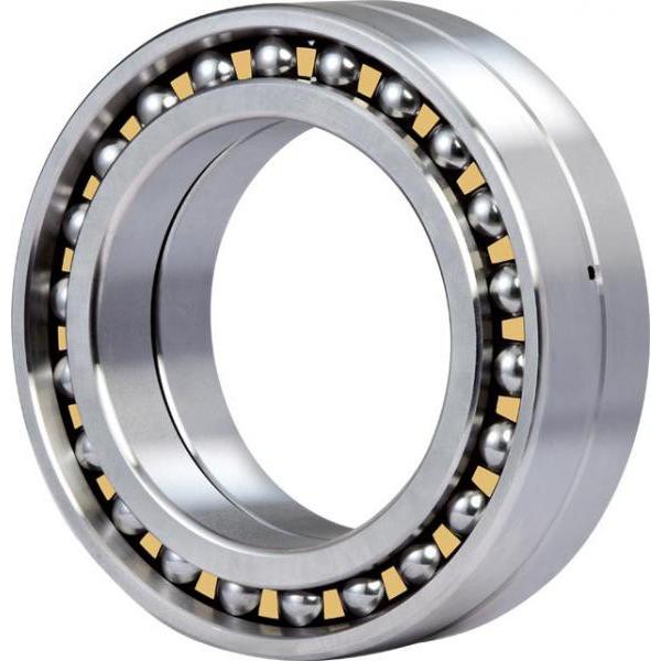 1007L Original famous brands Bower Cylindrical Roller Bearings #1 image